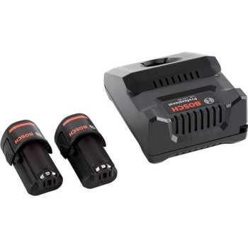 Bosch GBA 12V 2.0Ah + GAL 12V-40 (1600A019R8), набір 2 акумулятори 12 В 2.0 Ah та зарядний пристрій