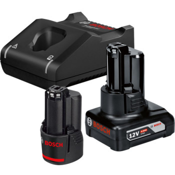 Bosch GBA 12V 2.0Ah + GBA 12V 4.0Ah + GAL 12V-40 (1600A01NC9), набір 2 акумулятори та швидкозарядний пристрій