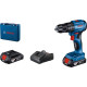 Bosch GSB 185-LI Professional, акумуляторний ударний дриль-шуруповерт, 2 акумулятори GBA 18V 2.0 Ah, зарядний пристрій GAL 18V-20, кейс