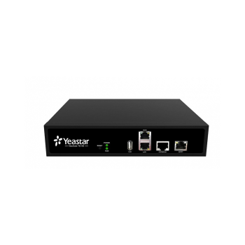 Yeastar TE100, VoIP-PRI шлюз (30 каналів зв'язку)
